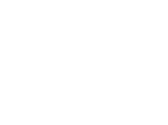 logo_blanc_vector